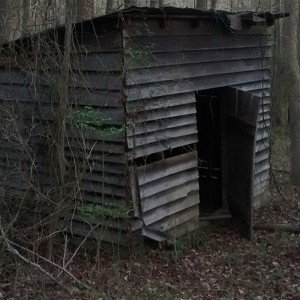 Killer Shack