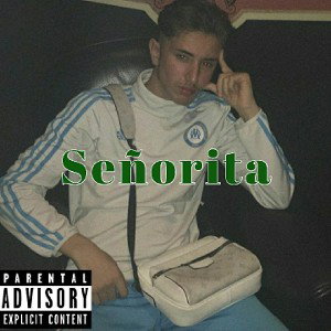 Señorita - seso (Official Audio)