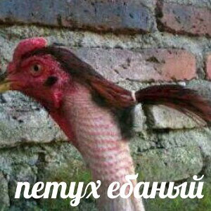 Моя бэй