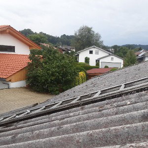 jeden Tag  im Ghetto unterwegs 