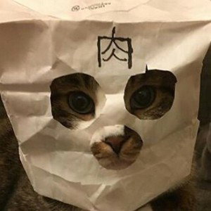 массасальватруча