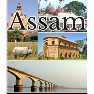 Assam The MC R.∆ 