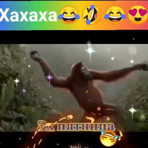 Мамба 