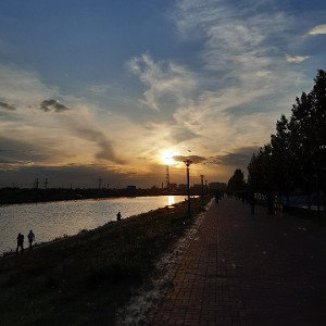 psevdonym