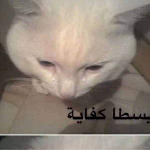 LoCo - Yasta Kefaya | لوكو - ياسطا كفاية