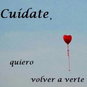 El hultimo Adios