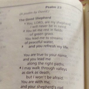 Psalm 23