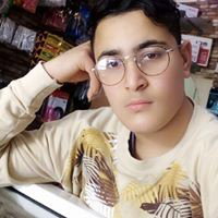 anis anis