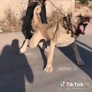 🏀Баскетбо💪
