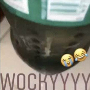 CoFFizz - Wocky Slush
