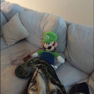 Luigi Vacations and Panthers