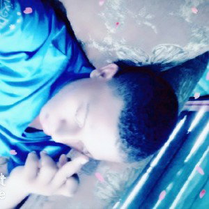 jevi
