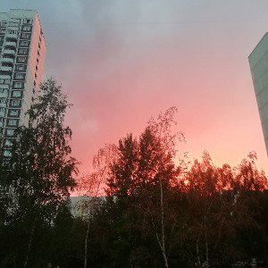 Честь важнее любви 