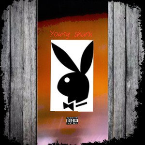 Boys gang - playboy