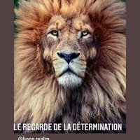 sanction 
