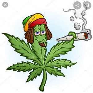 420 freestyle