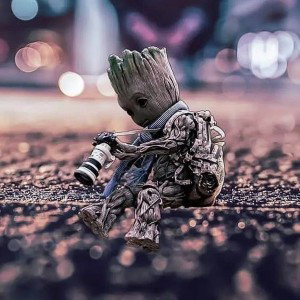 зайке