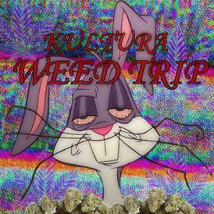 WEED TRIP ( prod. AVEPACK )
