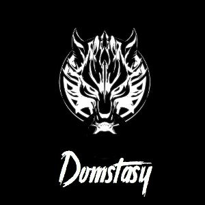 Domstasy vs Manu