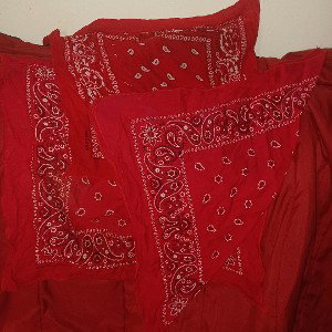 A Damu and Piru Movement