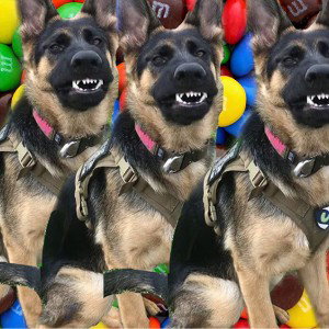 M&M’s and Doggs
