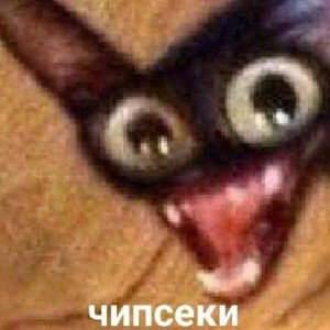 БАбаК