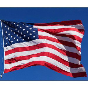USA Independence Day 