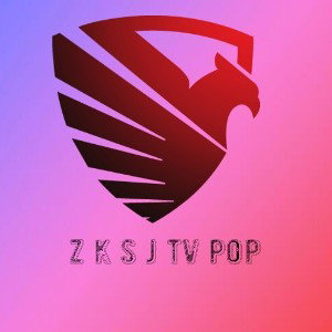 zksj ft nino
