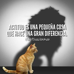 ☆ M○RE☆No se equivoque 