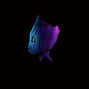 M. Jay - параллели