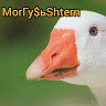 MorГусьShtern - Шумнафоне челлендж