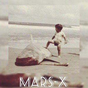 Mars-X:Кит