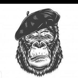 fake system, @beast Nation 