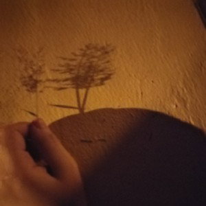 Solitude