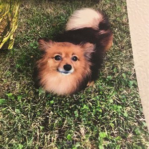 miss you 😘- lil good boy- Zkittlez