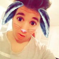 White rabbit 