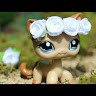 HardB_14-32