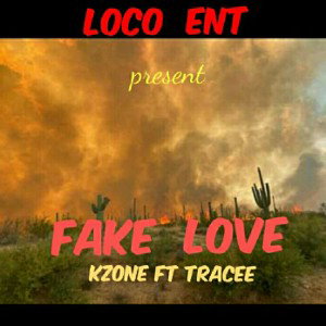 Fake_Love(slow down contest)