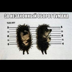 ЮФО vs Под Водник - В одном флаконе.