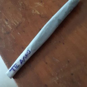 roto loko