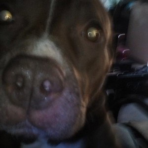 I get doggy