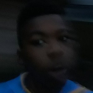 jdjdjznekd