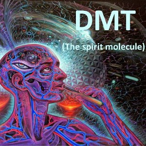 My Dmt Poem🎥The💮Spirt🌐Molecule💠