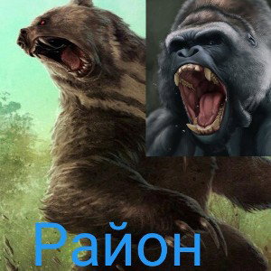 Район