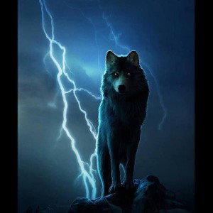🐺💯KEEP UP💯🐺
