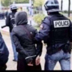 tu retournera en tol 