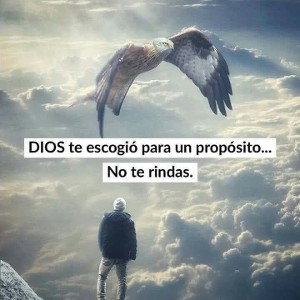 Nora unix 🙏