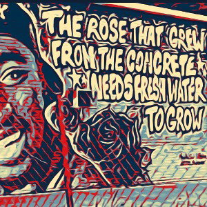   Golden age of hip hop                         