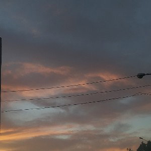 доберман