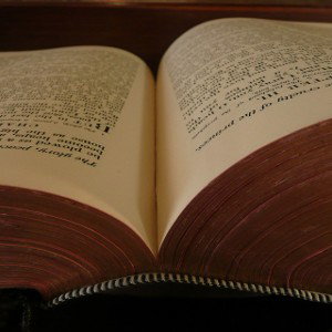 Open Book 📖